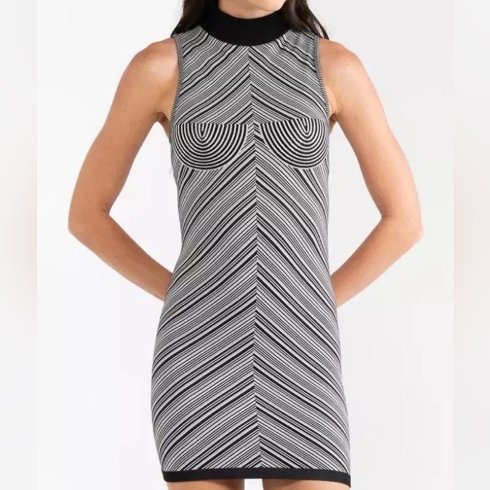 Zara Black and White Chevron Mini Dress